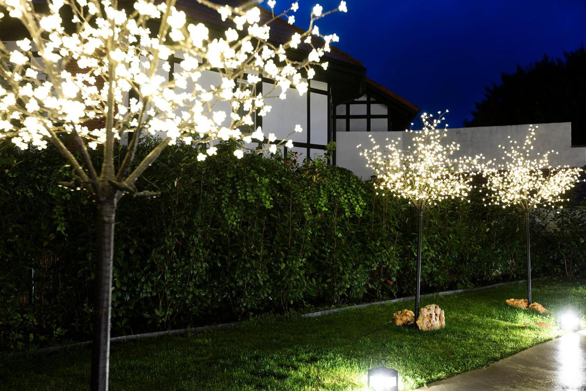 Ferienwohnung Kofradia Hondarribia Exterior foto